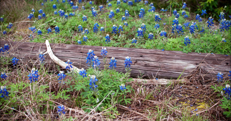 Welcome to 2026: A Fresh Start