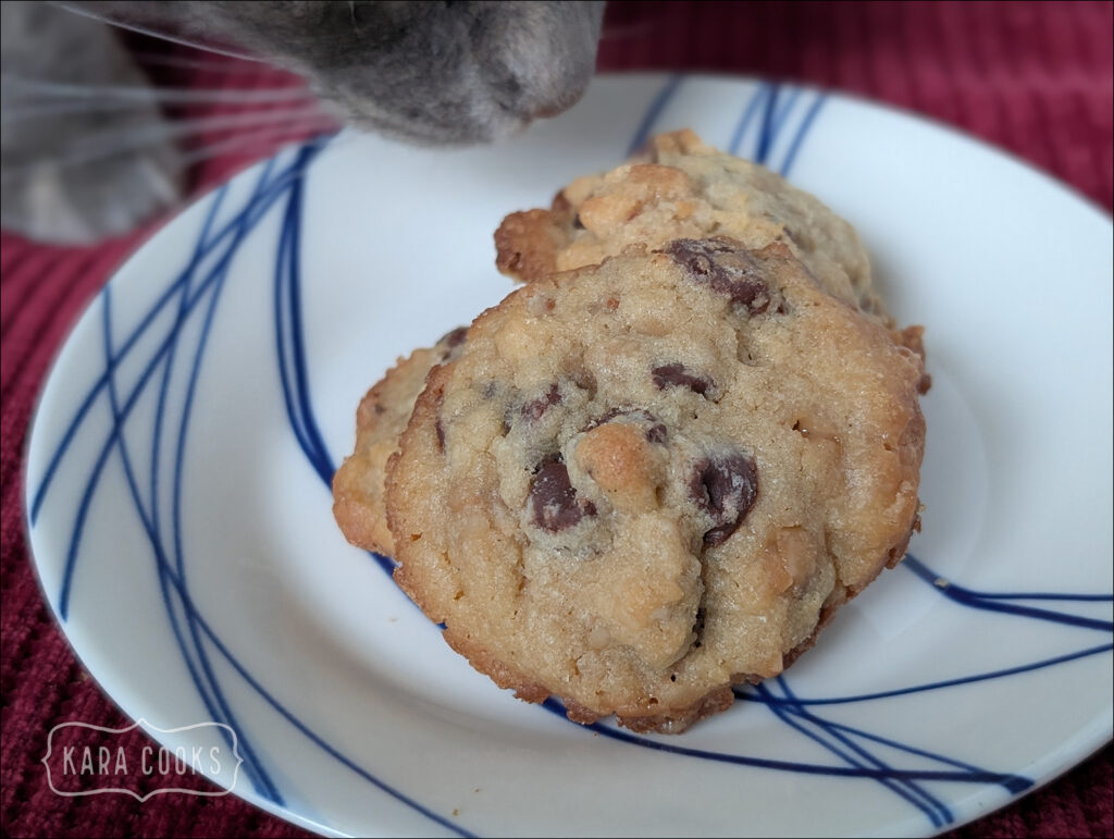 a chocolate chip cookie on a blue and white plate on a red tablecloth. There's a cat photobombing the picture, sniffing at the cookie.