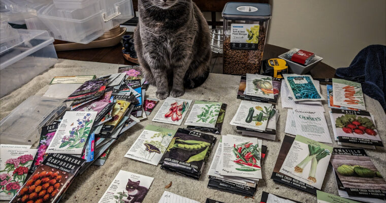Garden Planning Season: Seeds, Dreams, and My Helper